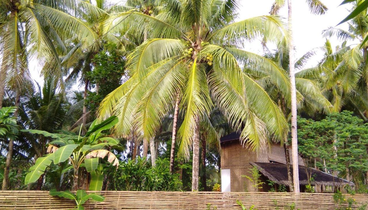 Butterfly House, Libertad, General Luna, Siargao, Filipinas Βίλα General Luna  Εξωτερικό φωτογραφία