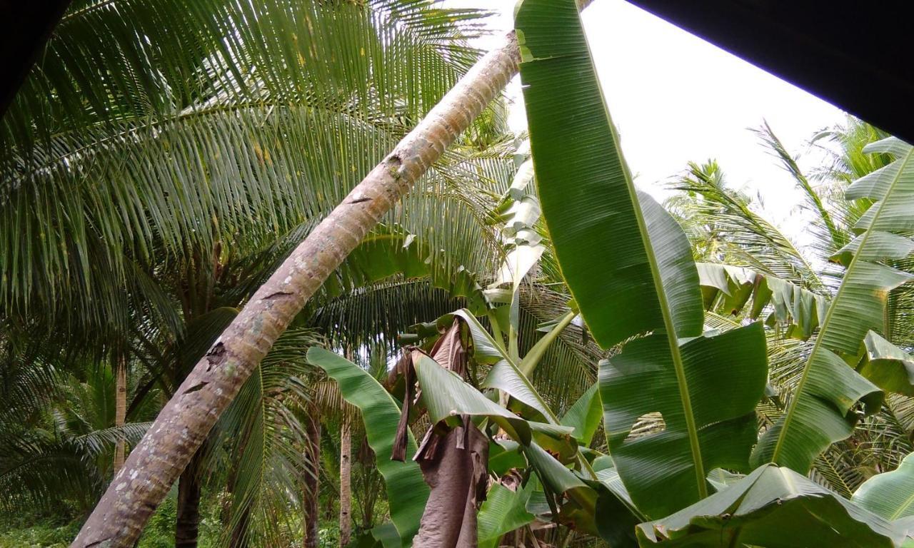 Butterfly House, Libertad, General Luna, Siargao, Filipinas Βίλα General Luna  Εξωτερικό φωτογραφία